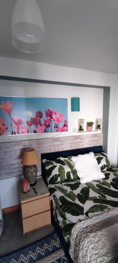 Joanna'S Studio , Key Locker By Whatsapp Own Entrance, Own Bathroom Youghal Eksteriør bilde